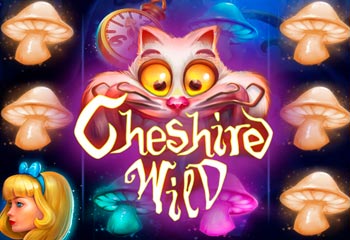 Cheshire Wild